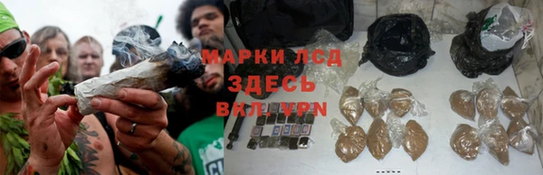 СК Алексеевка