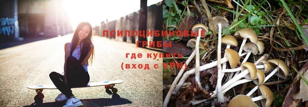 соль ск Алексин