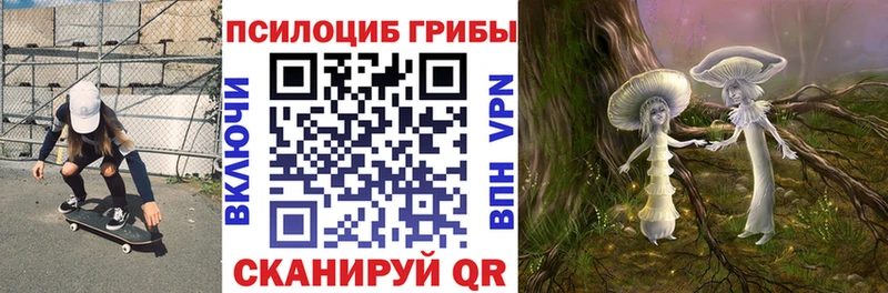 Псилоцибиновые грибы Magic Shrooms  Балашов 
